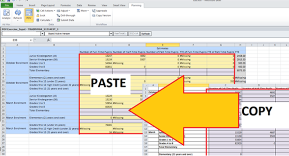 Shows when sheet is unprotected data, it can be copied and pasted into the smartview form